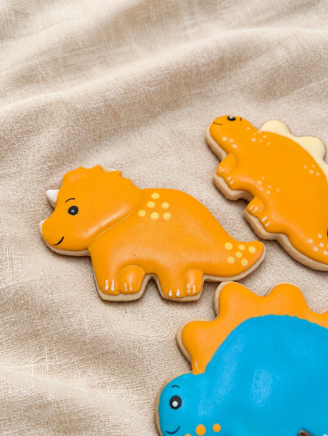 Dinosaur details cookie set